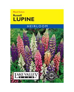 Lupinus, Russell Lupine, 1g