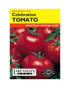 Lycopersicon, Tomato (Bush), Celebration Hybrid Tomato, 0.1g