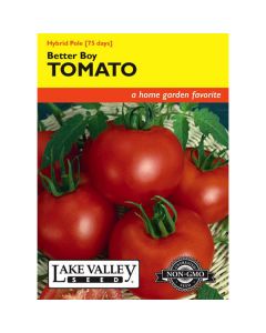 Solanum, Tomato (Pole), Better Boy Hybrid Tomato, 0.1g