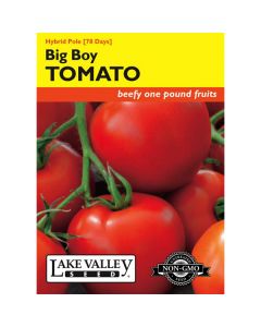 Lycopersicon, Tomato (Pole), Big Boy Hybrid Tomato, 0.1g