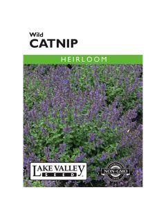 Nepeta, Catnip, Wild Catnip, 0.25g