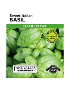 Ocimum, Basil, Sweet Italian Basil, Value Pack, 5g