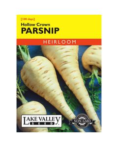 Pastinaca, Hollow Crown Parsnip, 2g