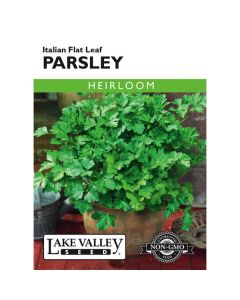 Petroselinum, Italian Flat Leaf Parsley, 1g