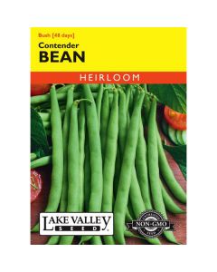 Phaseolus, Bean (Bush), Contender, 20g