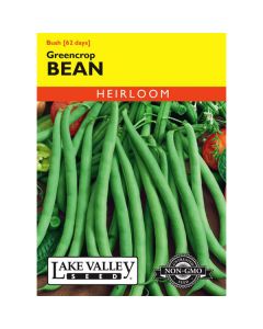 Phaseolus, Bean (Bush), Greencrop, 20g