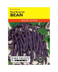 Phaseolus, Bean (Bush), Royal Burgundy, 20g