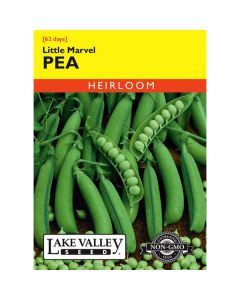 Pisum, Pea (Bush), Little Marvel, 20g