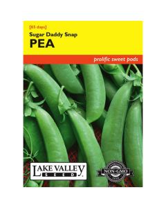 Pisum, Pea (Bush), Sugar Daddy Snap Pea, 20g