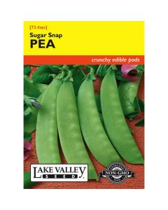 Pisum, Pea (Pole), Sugar Snap Pea, 20g