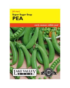 Pisum, Pea (Pole), Super Sugar Snap Pea, 20g