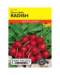 Raphanus, Radish, Cherry Belle Radish, 4g