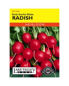 Raphanus, Radish, Early Scarlet Globe Radish, 4.5g