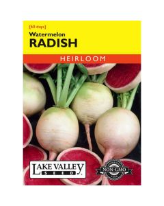 Raphanus, Radish, Watermelon Radish, 1g