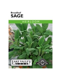 Salvia, Sage, Broadleaf Sage, 0.75g