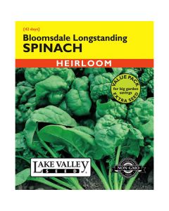 Spinacia, Spinach, Bloomsdale Longstanding, Value Pack, 15g