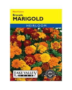 Tagetes, Brocade Marigold, 0.4g