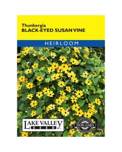 Thunbergia, Black-Eyed Susan Vine, 0.75g