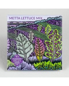 Lactuca, Metta Lettuce Mix ~ 250 seeds