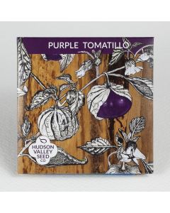 Physalis, Tomatillo 'Purple' ~ 25 seeds