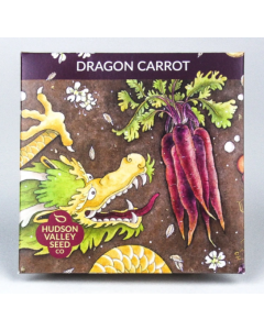 Daucus, Carrot, Dragon Carrot ~ 500 seeds