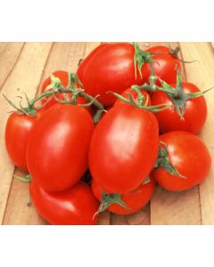 Tomato (Bush), 'Roma'