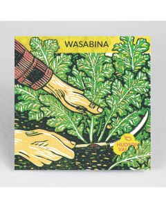 Brassica, Wasabi Greens 'Wasabina' ~ 200 seeds