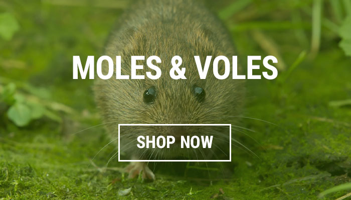 https://www.gertens.com/media/wysiwyg/MolesVoles-AnimalRepellants--Buttons.jpg