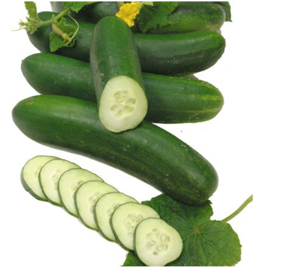 Growing English cucumbers not working out? This is why