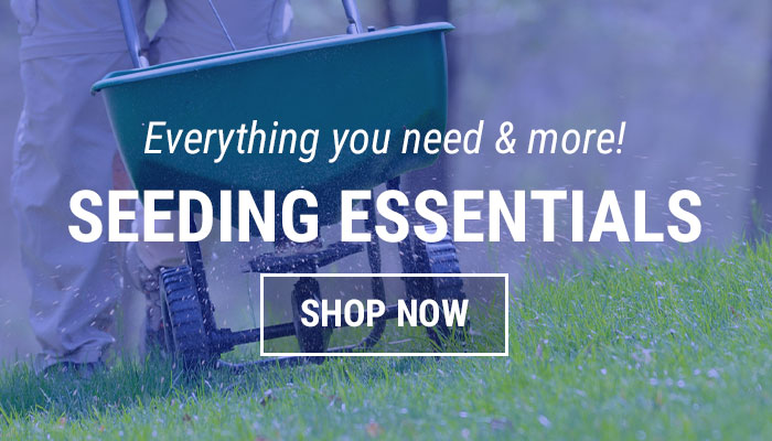 Grass Seeding Essentials