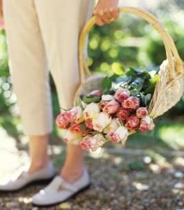 Caring for Cut Roses