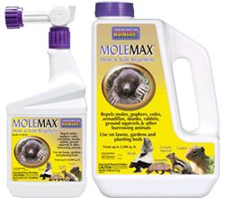 Molemax