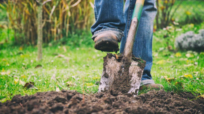 Shovel into dirt - Photo by arbordayblog.org