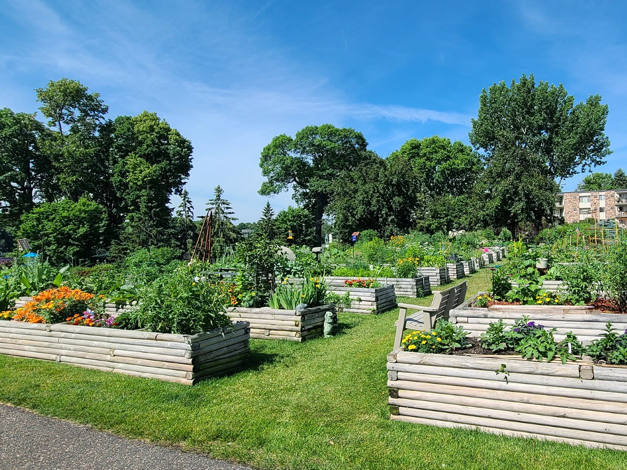 Raised garden bed's from UofMN 